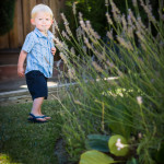 natural light baby boy 2 year old outdoor family portraits San Jose Sarah Delwood Photography