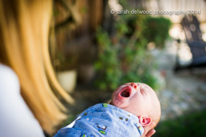 natural light baby boy newborn outdoor portraits San Jose Sarah Delwood Photography