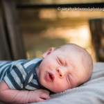 natural light baby boy newborn outdoor portraits San Jose Sarah Delwood Photography