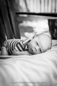 black and white natural light baby boy newborn outdoor portraits San Jose Sarah Delwood Photography