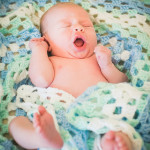 natural light baby boy newborn indoor portraits San Jose Sarah Delwood Photography