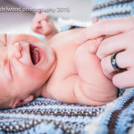 newborn baby boy family natural light Sarah Delwood Photography
