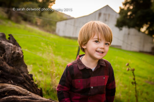 family toddler baby portrait session outdoor natural light san jose sarah delwood photography