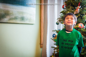 family boys cousins natural light christmas portraits san francisco Sarah Delwood Photography
