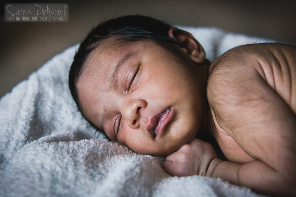 newborn baby boy indoor natural light photography san jose sunnyvale bay area sarah delwood photography